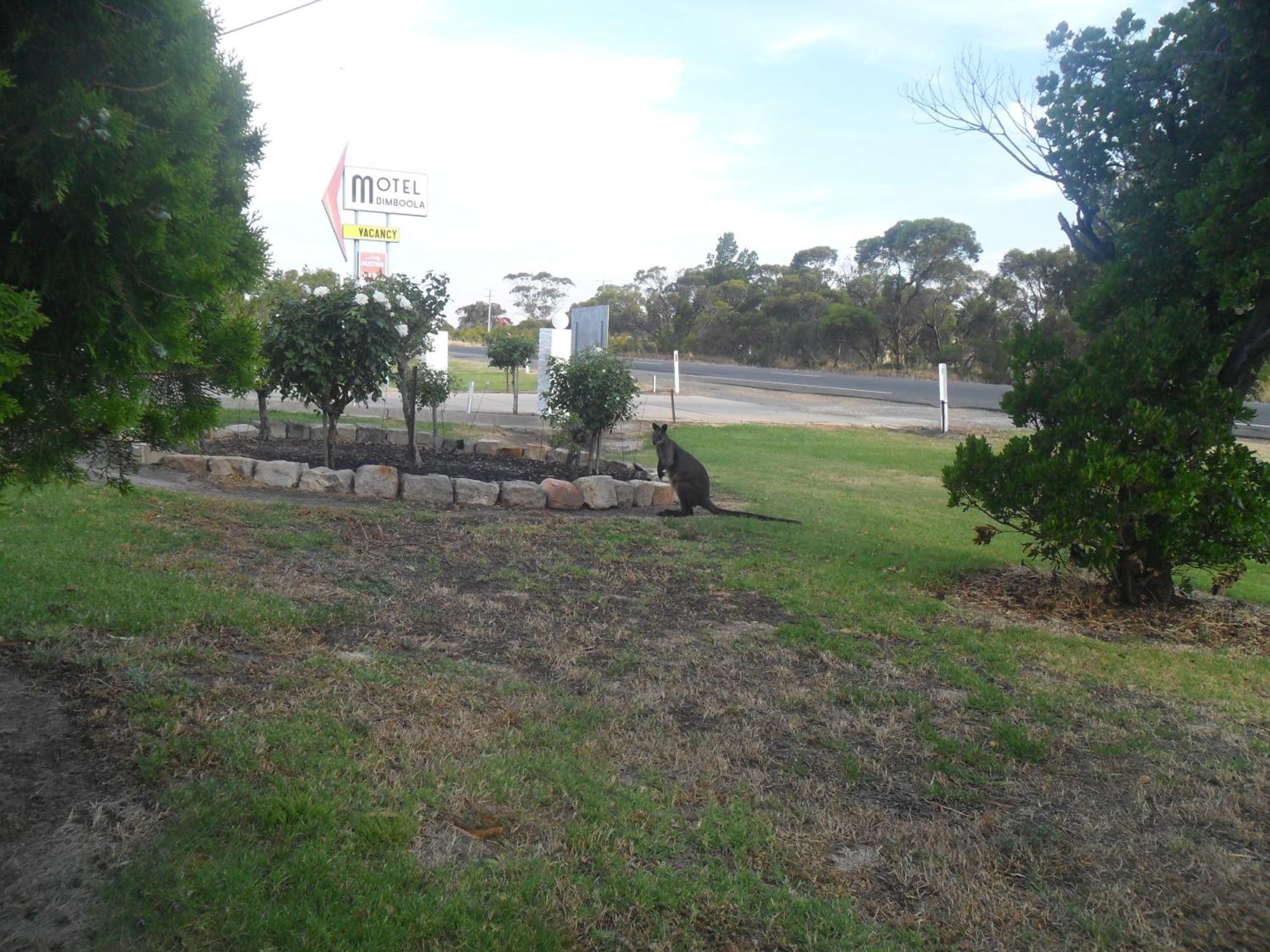 Motel Dimboola Exterior foto