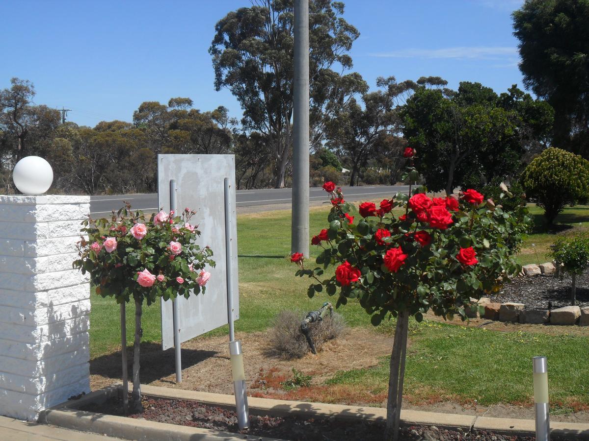 Motel Dimboola Habitación foto